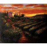 A House next to Vineyards at Sunset