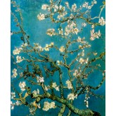 Van Gogh Almond Blossom